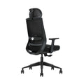 SKILLCHAIRS Ergo Cielo - Photo 4