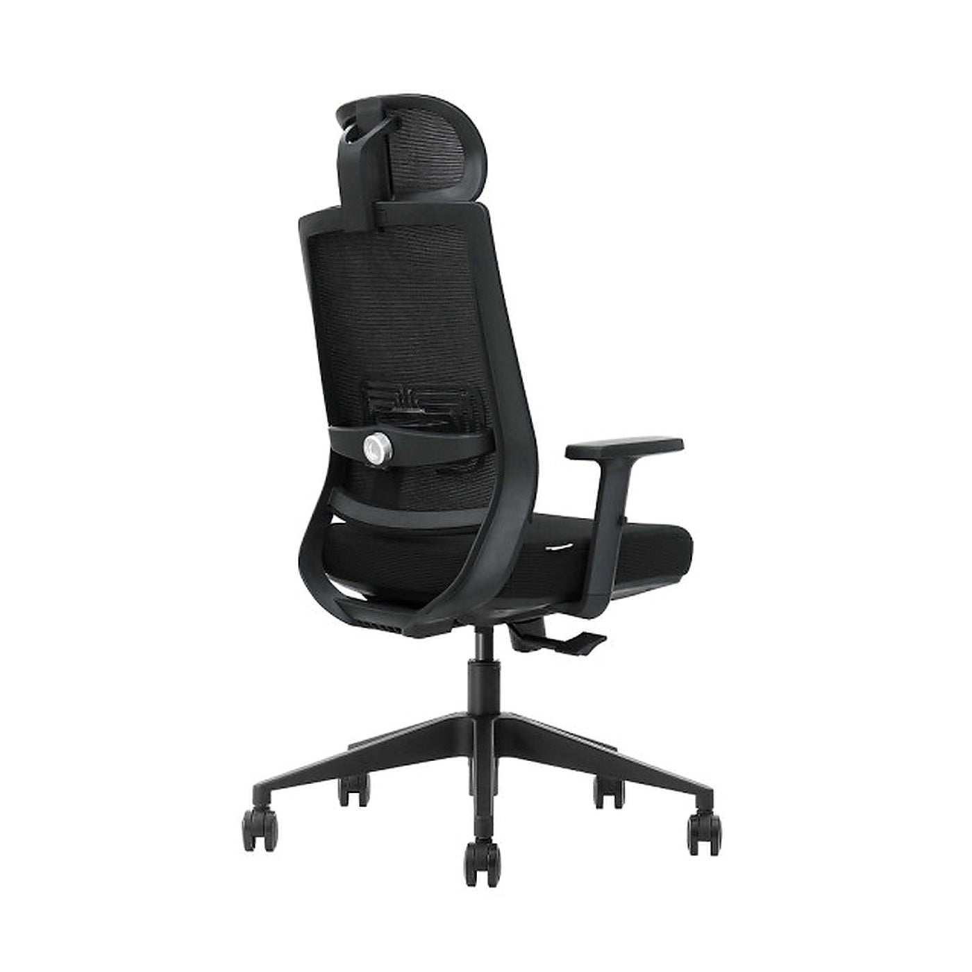 SKILLCHAIRS Ergo Cielo - Photo 4