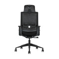 SKILLCHAIRS Ergo Cielo - Photo 5