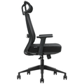 SKILLCHAIRS Ergo Cielo - Photo 3