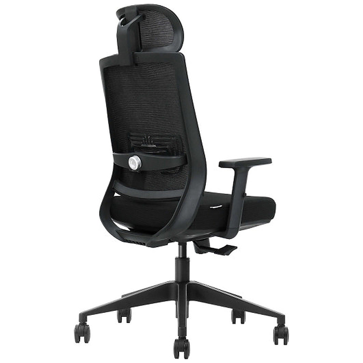 SKILLCHAIRS Ergo Cielo - Photo 4