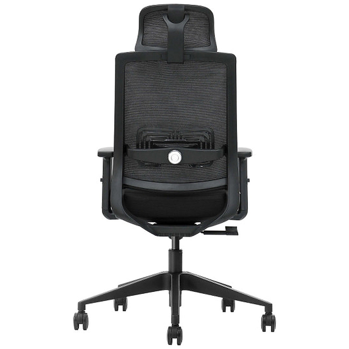 SKILLCHAIRS Ergo Cielo - Photo 5