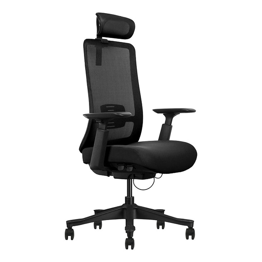 SKILLCHAIRS Ergo Diva - Photo 1