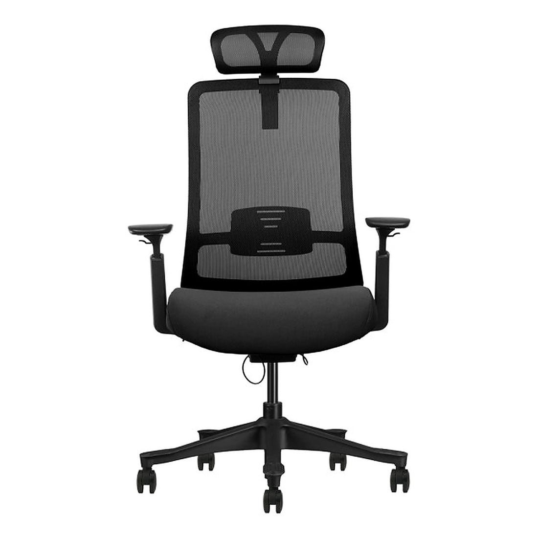SKILLCHAIRS Ergo Diva - Photo 1