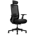 SKILLCHAIRS Ergo Diva - Photo 1