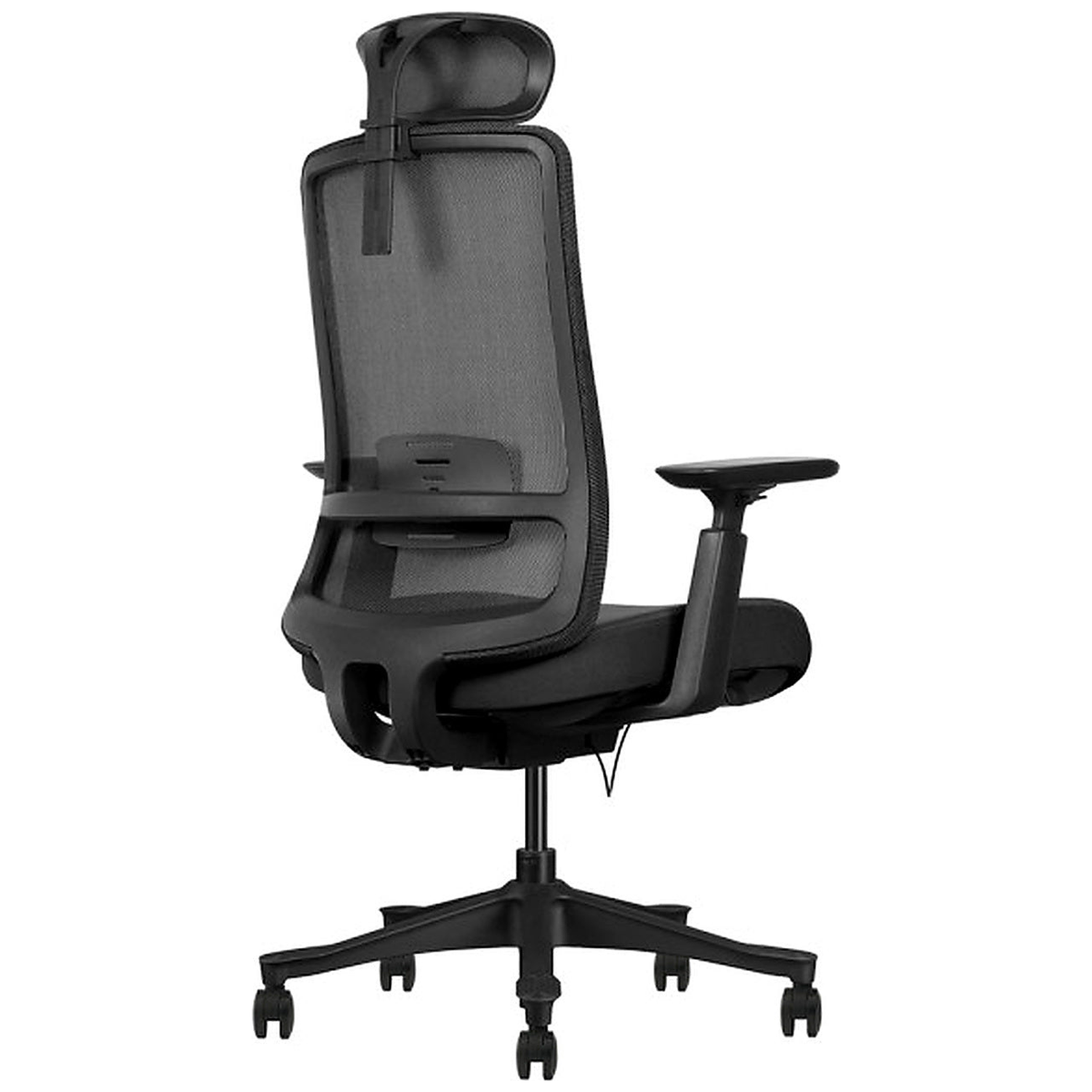 SKILLCHAIRS Ergo Diva - Photo 4
