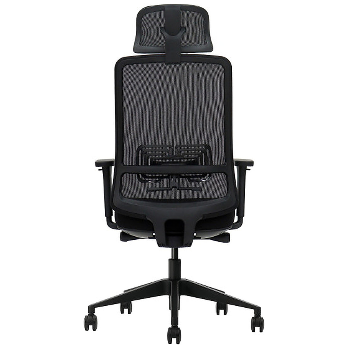 SKILLCHAIRS Ergo Gusto - Photo 5