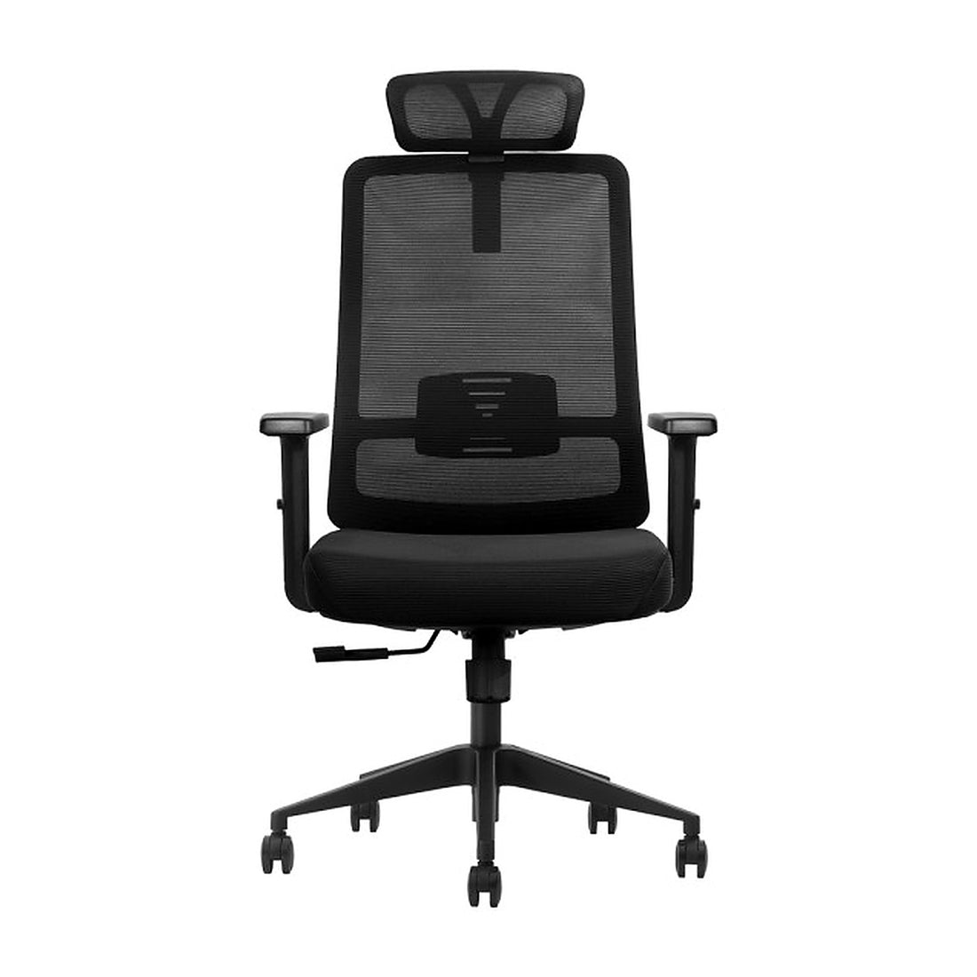 SKILLCHAIRS Ergo Luna - Photo 1