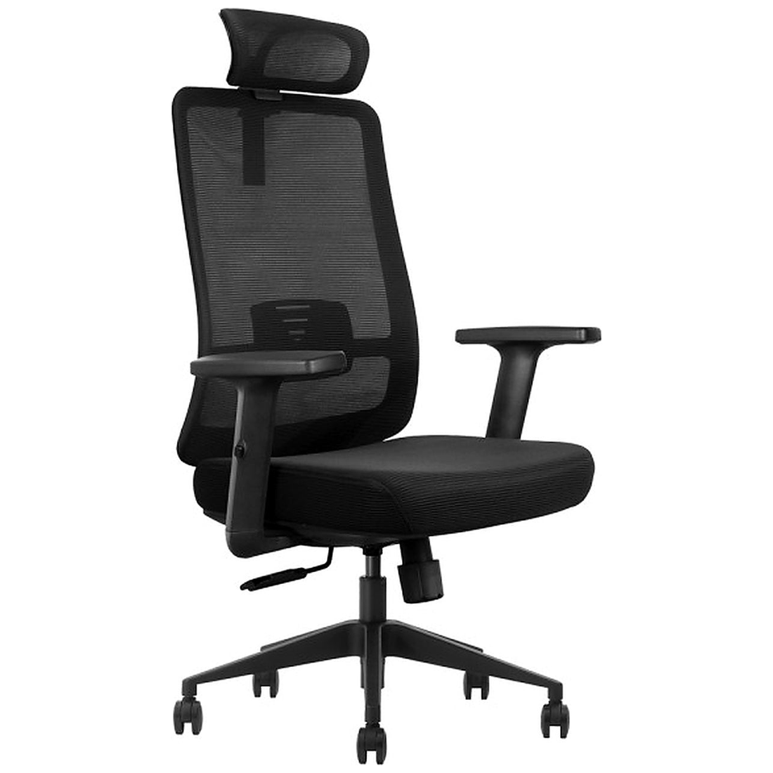 SKILLCHAIRS Ergo Luna - Photo 1