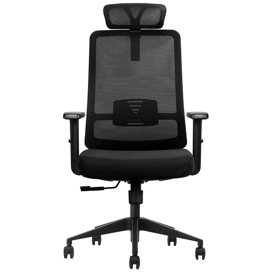 SKILLCHAIRS Ergo Luna - Photo 1