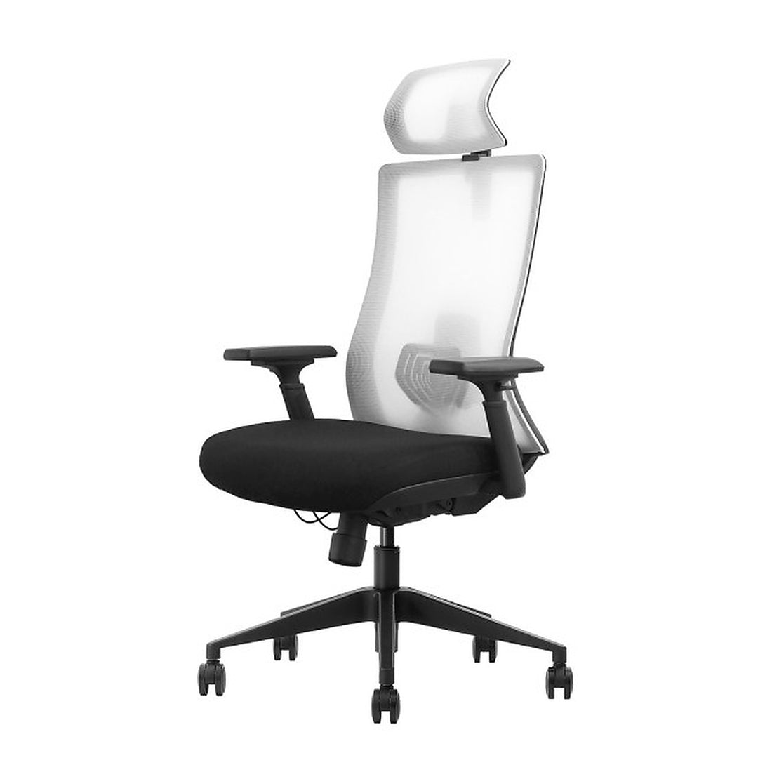 SKILLCHAIRS Ergo Riviera Black - Photo 1