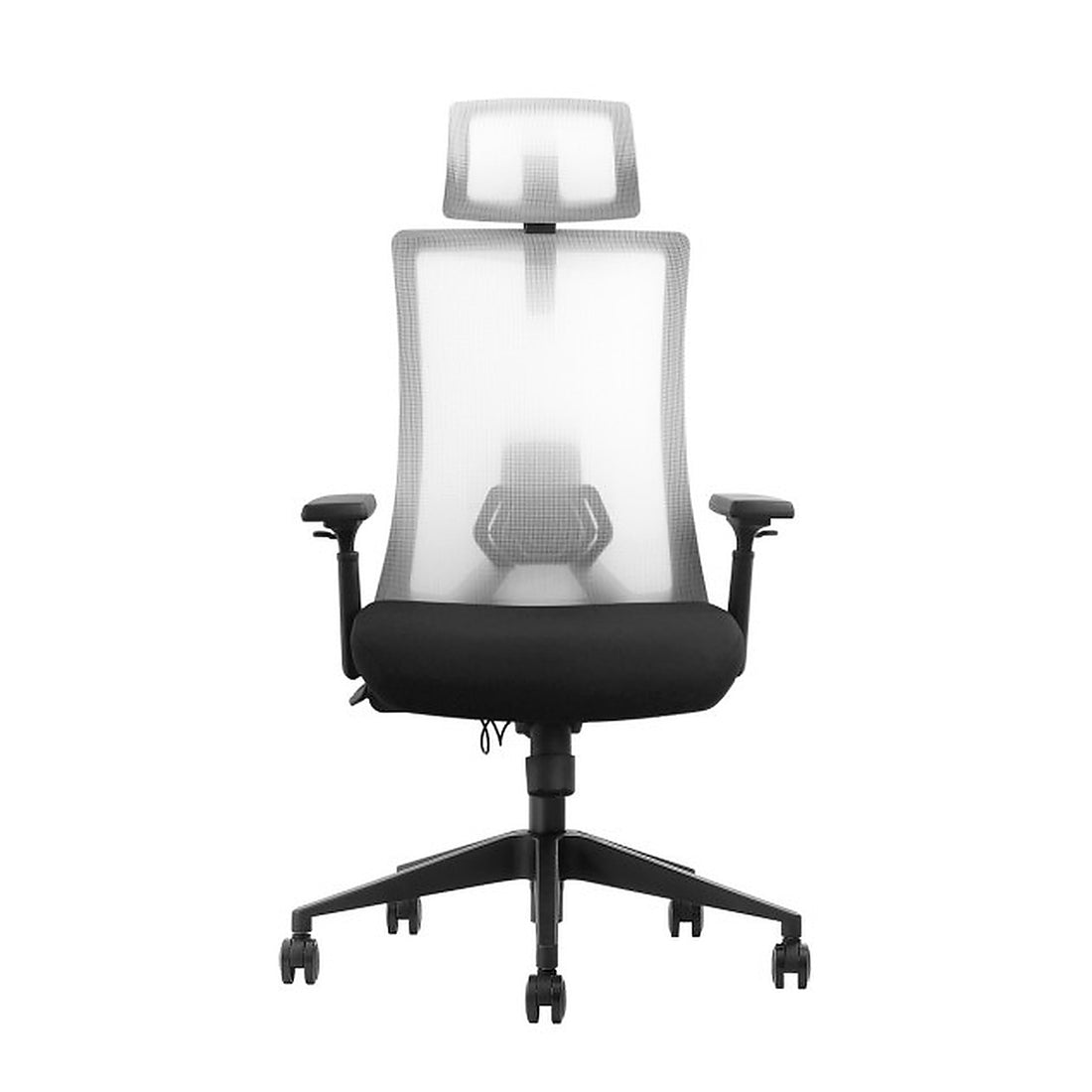 SKILLCHAIRS Ergo Riviera Black - Photo 1