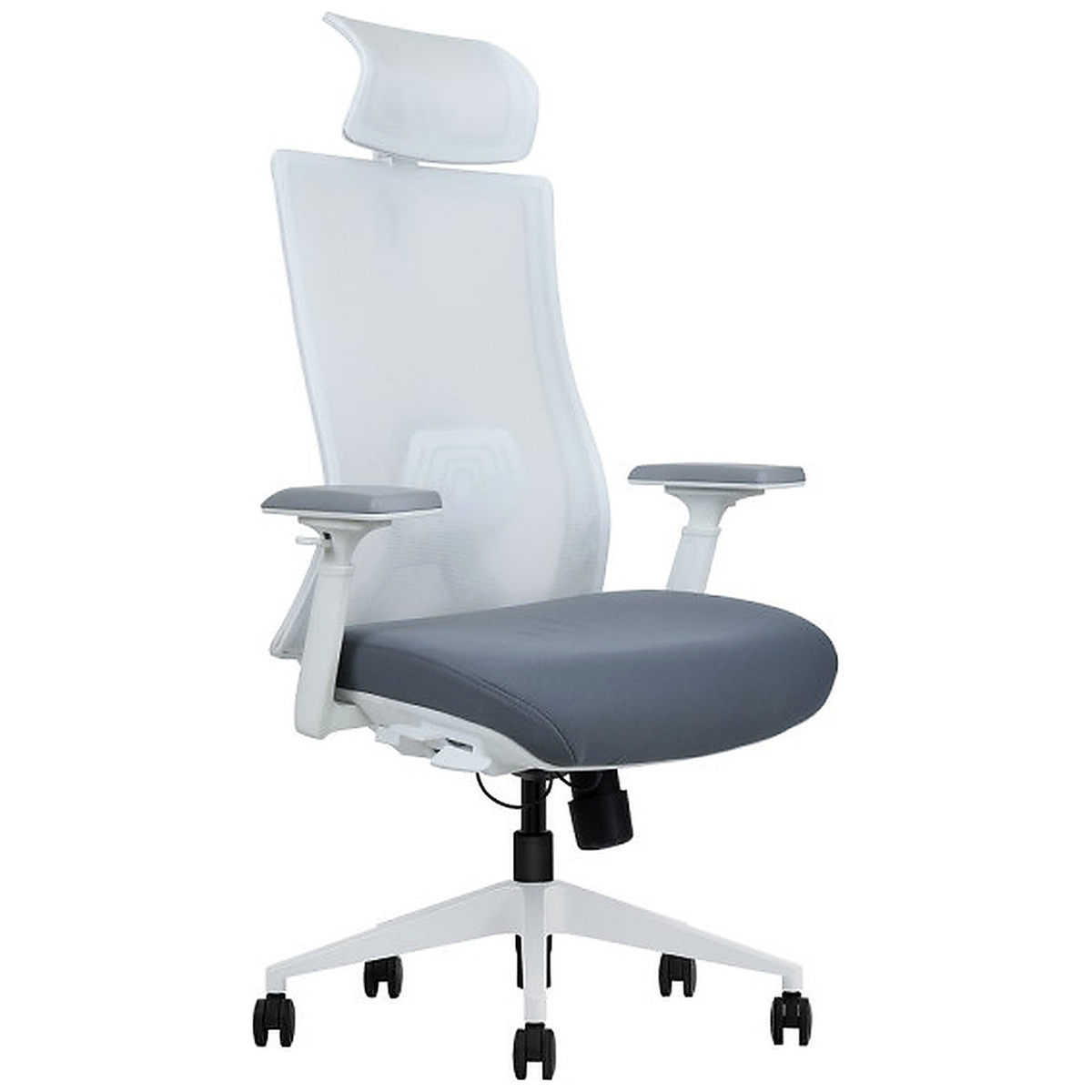 SKILLCHAIRS Ergo Riviera White - Photo 1