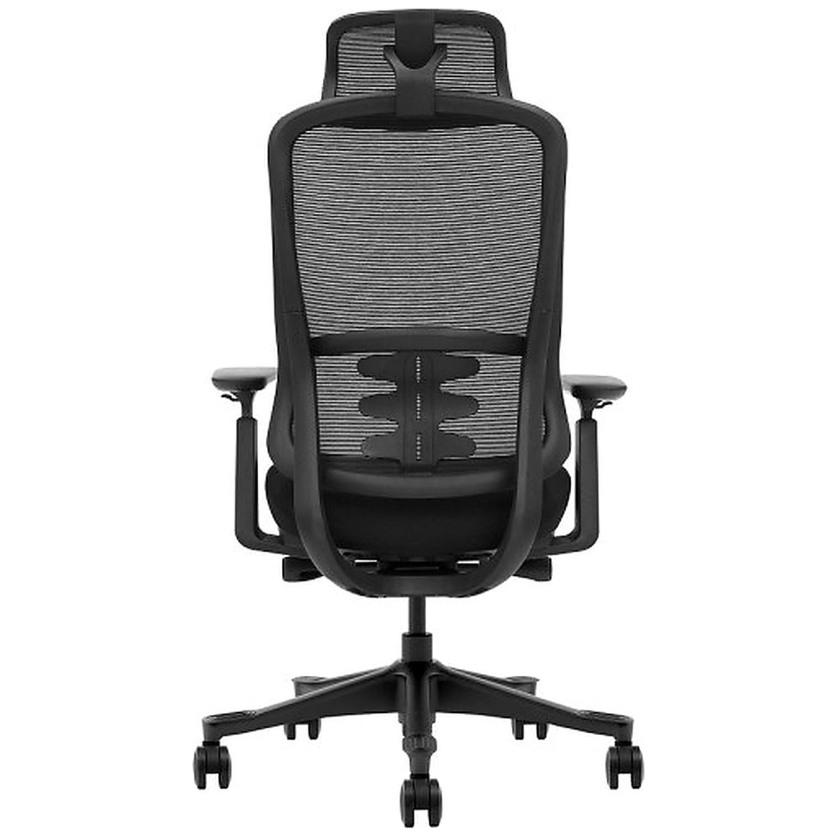 SKILLCHAIRS Ergo Selva - Photo 5
