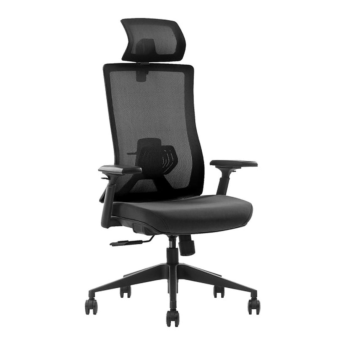 SKILLCHAIRS Ergo Stella - Photo 1