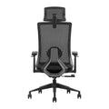 SKILLCHAIRS Ergo Stella - Photo 4
