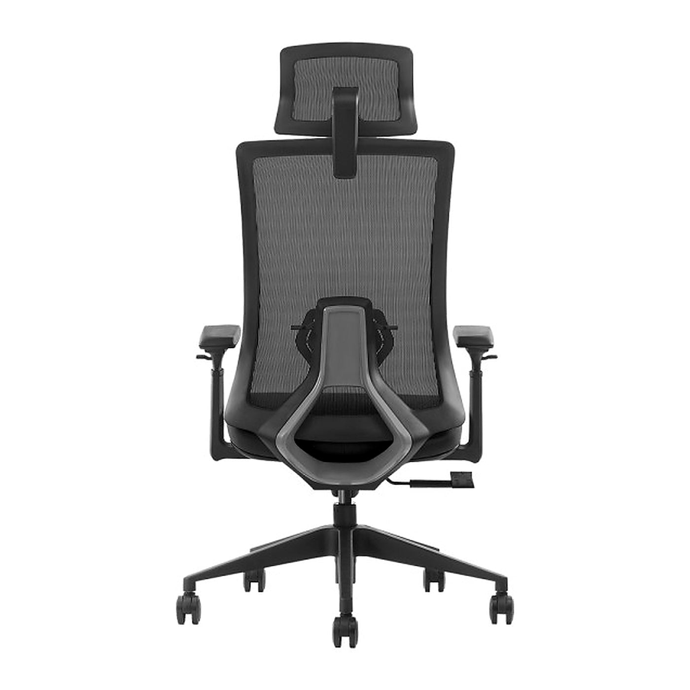 SKILLCHAIRS Ergo Stella - Photo 4