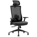 SKILLCHAIRS Ergo Stella - Photo 1