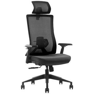 SKILLCHAIRS Ergo Stella - Photo 1