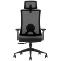 SKILLCHAIRS Ergo Stella - Photo 2