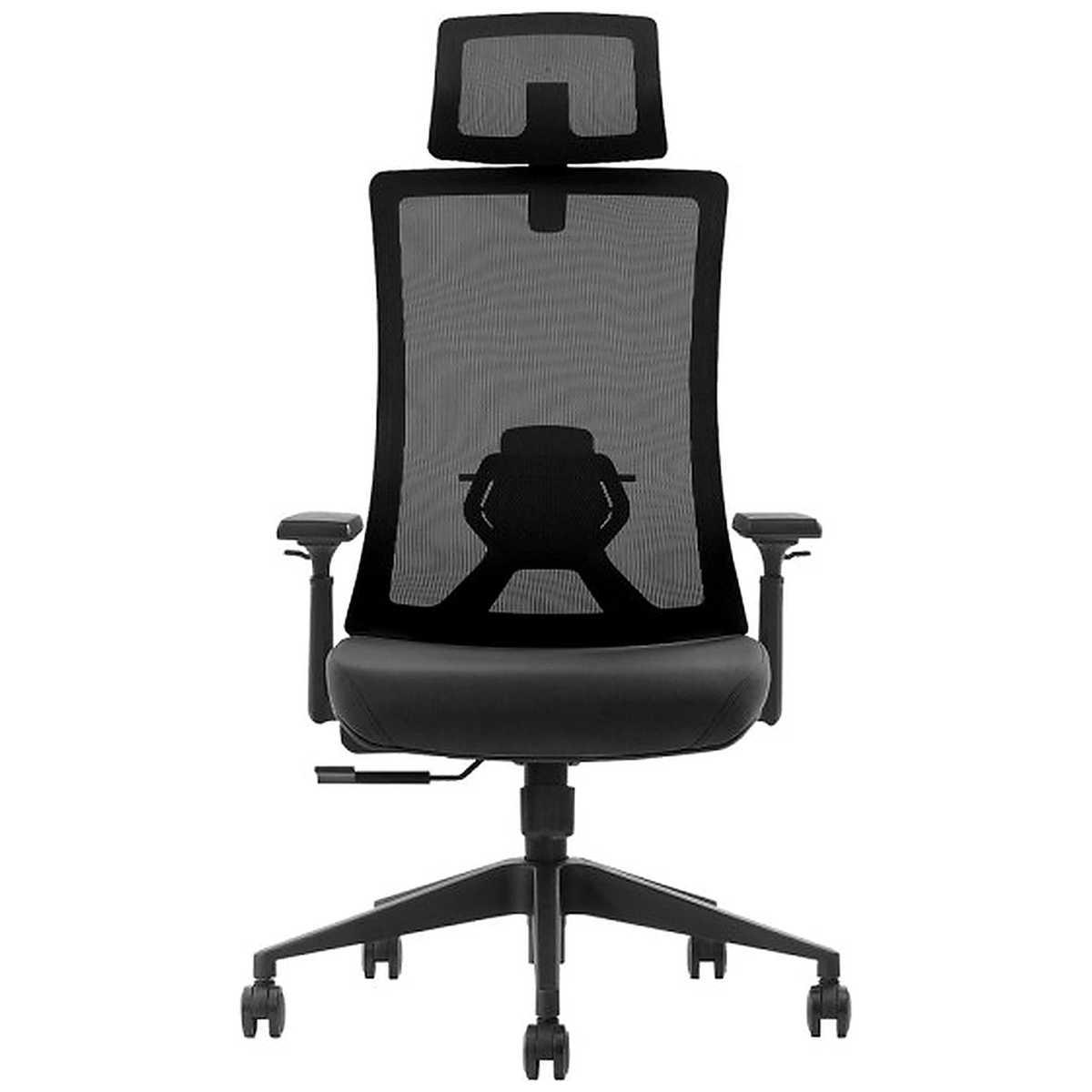 SKILLCHAIRS Ergo Stella - Photo 2