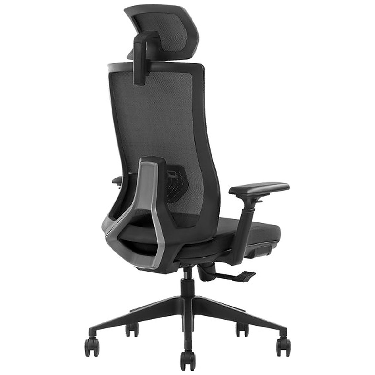 SKILLCHAIRS Ergo Stella - Photo 3