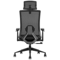 SKILLCHAIRS Ergo Stella - Photo 4