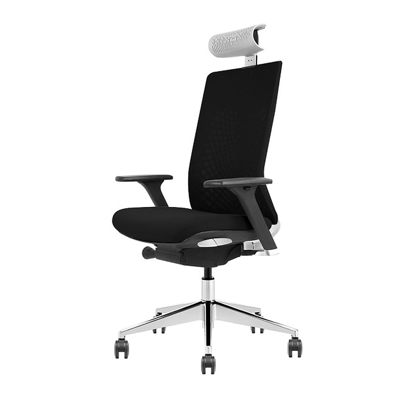 SKILLCHAIRS Ergo Torino - Photo 2