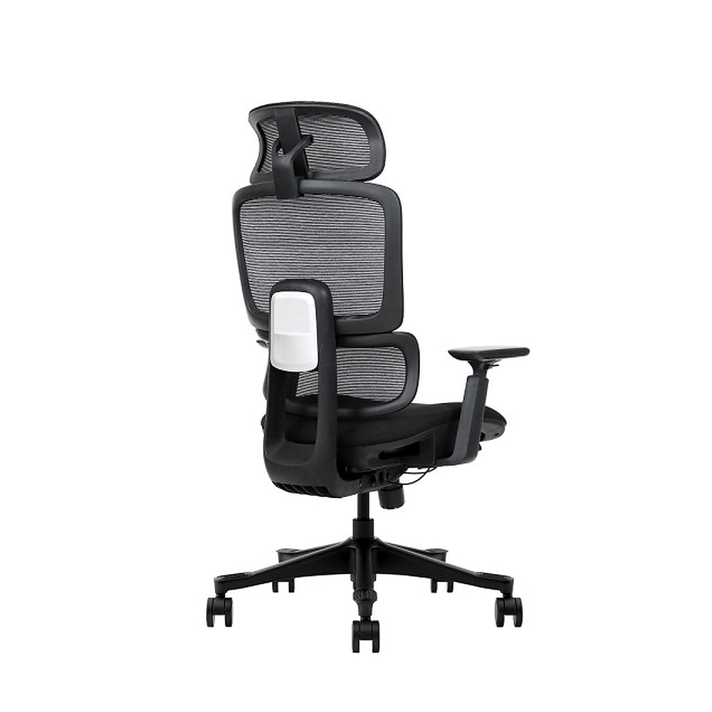 SKILLCHAIRS Ergo Vita - Photo 4