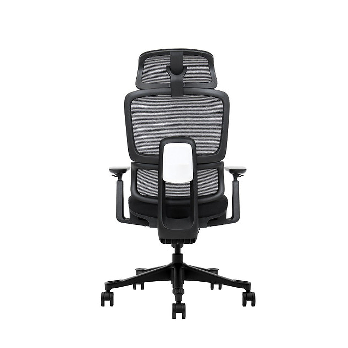 SKILLCHAIRS Ergo Vita - Photo 5