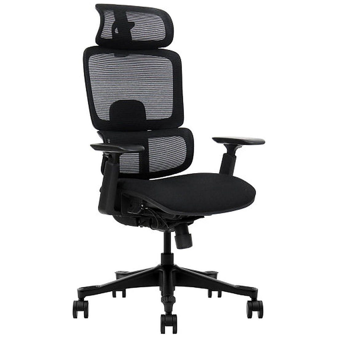 SKILLCHAIRS Ergo Vita - Photo 1