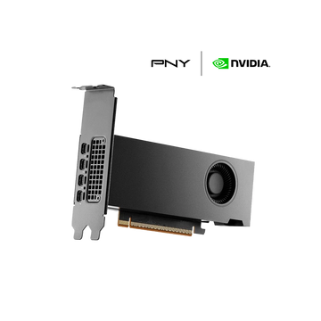 PNY Nvidia RTX Pro 2000 Blackwell Oem