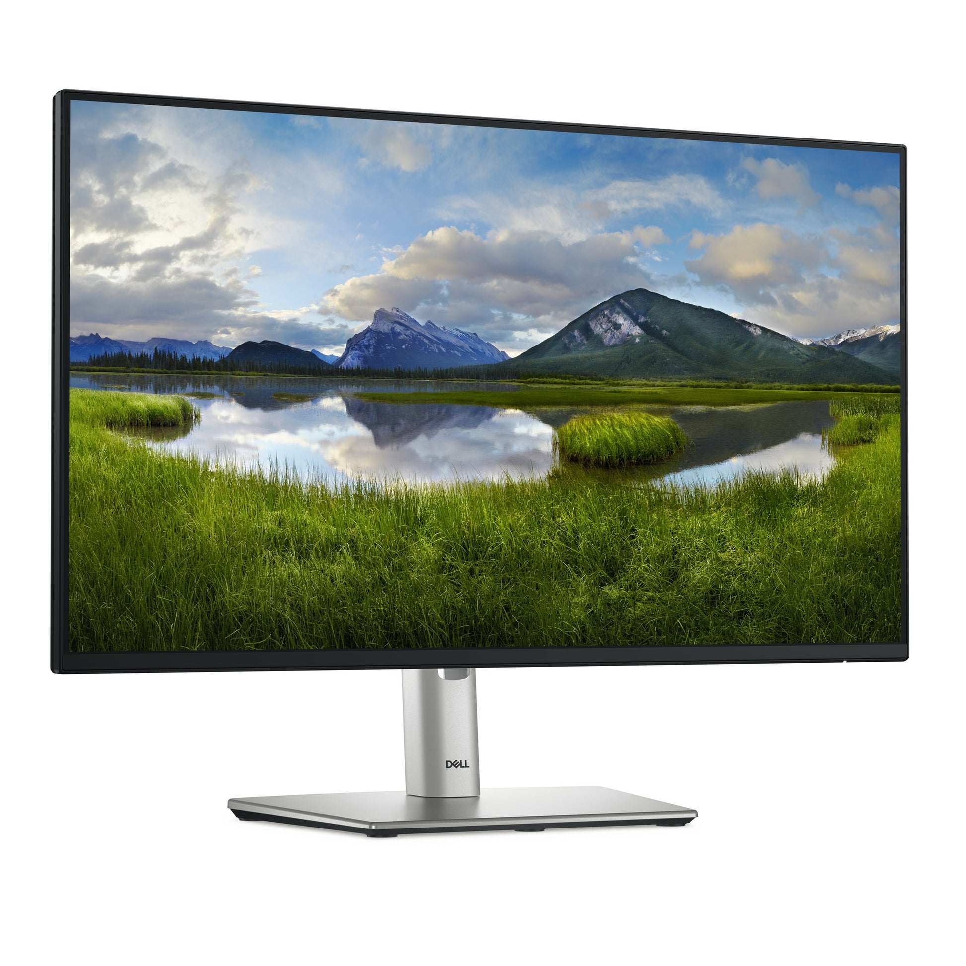 Moniteur DELL P2425H LCD 23.8" FHD VA 100Hz - image produit 3