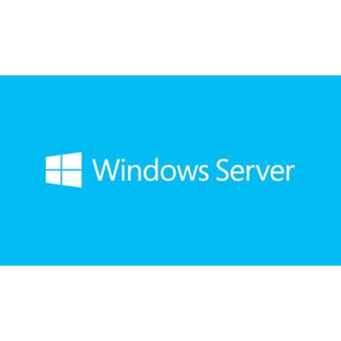 MS Windows Svr Std 2019 64Bit French 1pk DSP OEI DVD 16 Core