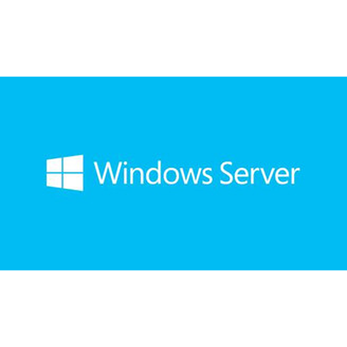 MS Windows Svr Std 2019 64Bit French 1pk DSP OEI DVD 16 Core